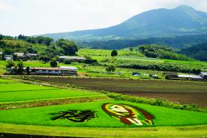 入賞作品（田んぼアートのある光景）の写真