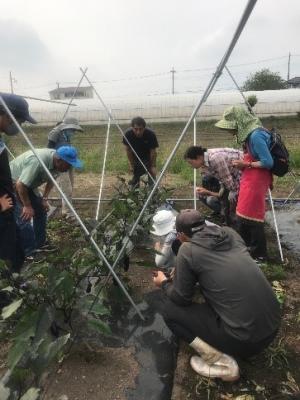 (画像)現地研修会の様子