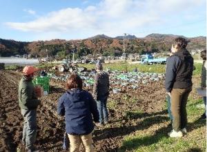 (画像)農業経営士のほ場を視察