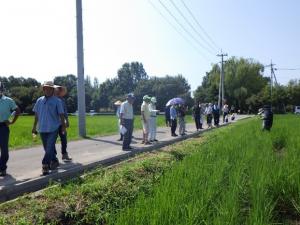 高品質な飼料イネWCSの生産に向けた取り組みを支援2