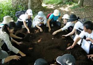 カブトムシの幼虫の事前掘り2