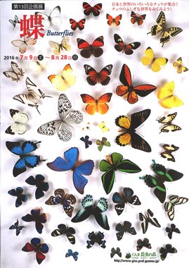 第13回企画展　蝶　Butterflies