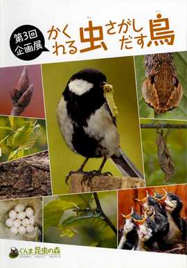 第3回企画展　かくれる虫さがしだす鳥