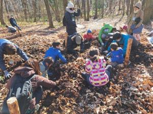 カブトムシ幼虫調査１