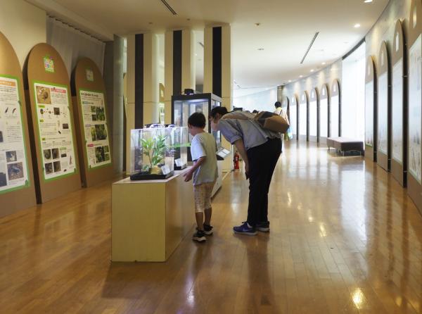 企画展　会場の様子