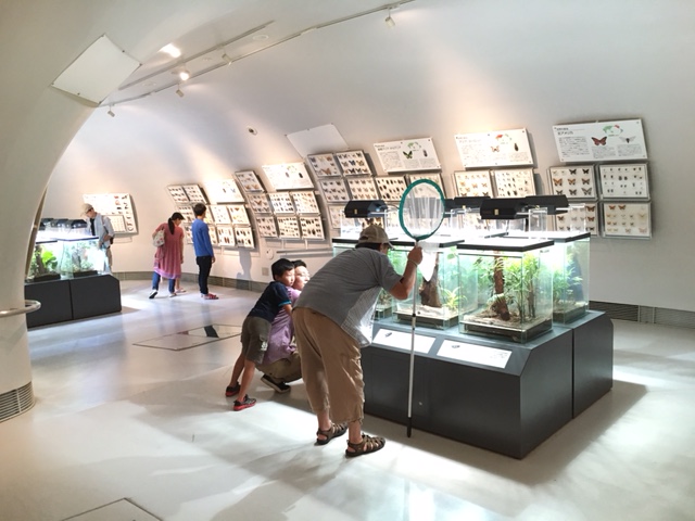 昆虫の素晴らしい世界1