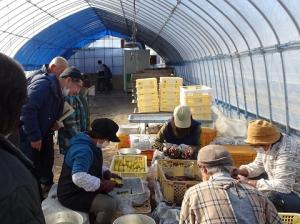 見学の様子の画像