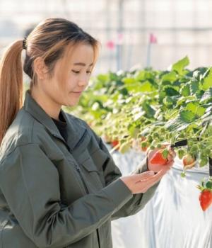 施設野菜専攻の学生の画像