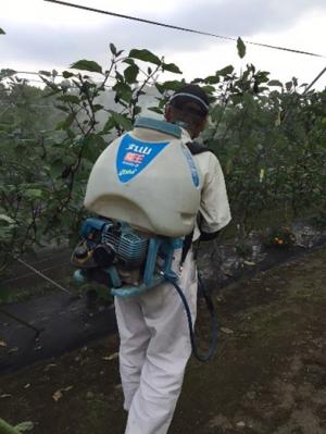 (画像)「農薬に関する基礎知識」の様子