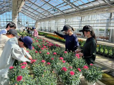 販売する花の管理をしている学生の画像