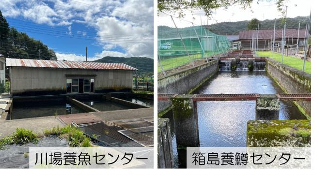 川場養魚センターと箱島養鱒センター画像