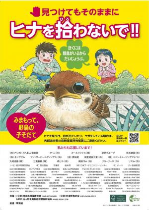 「ヒナを拾わないで!!キャンペーン」ポスター表画像