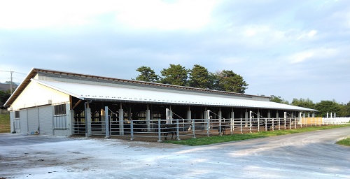 繁殖育成牛舎の画像