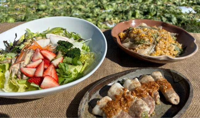 さまざまなレタス料理の写真