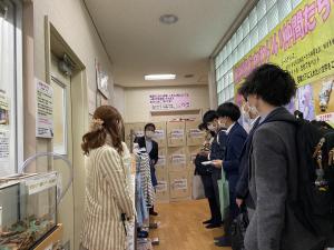 だれでも広場、だれでもバザーの写真