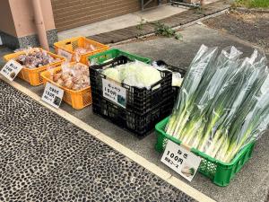 販売の準備が整った野菜達の画像