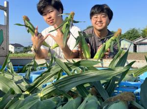 収穫したトウモロコシと学生の画像