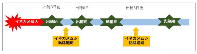 イネカメムシの防除適期（図1）の画像