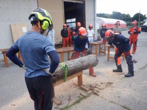 丸太を切断している画像