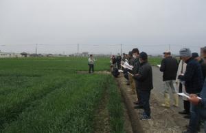 伊勢崎市ほ場の写真