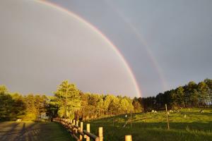 虹の先端が放牧地の地面についている写真です