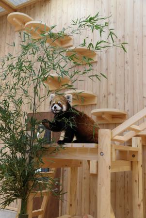 桐生ヶ岡動物園の画像