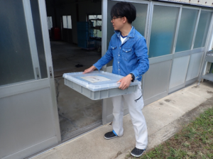 隔離飼育区画のプレハブ蚕室に搬入画像