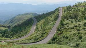 さわやか街道の画像