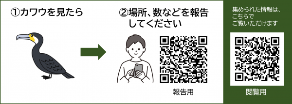 カワウGスコープの概要の画像