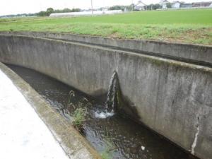 目地欠損部からの漏水状況の画像