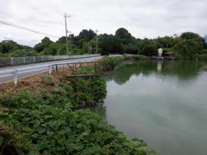 詳細調査中のため池の画像