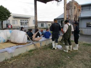 地下式サイロに飼料用トウモロコシを詰め終わった画像