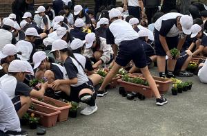 植付けの様子の画像