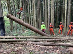 スイングヤーダの画像