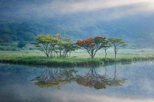 @fineupperfieldさん,覚満淵(前橋市）の写真