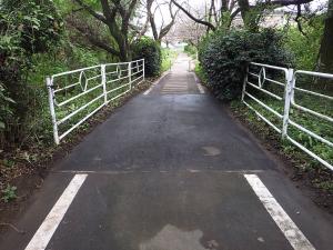 利根川自転車道線の写真