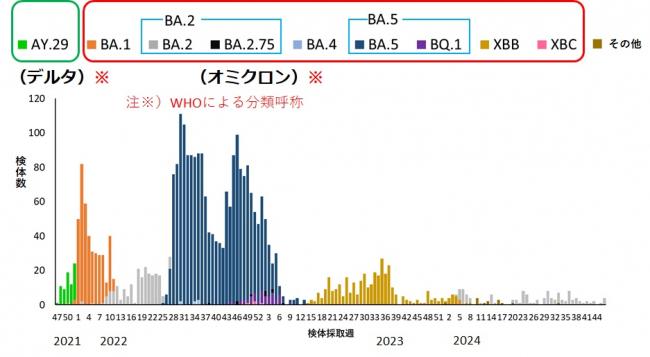 時系列解析グラフ画像