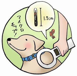 マイクロチップの画像