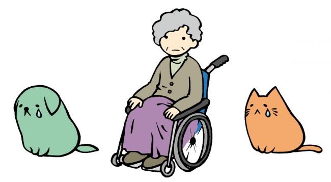 高齢者と悲しむ犬猫の画像