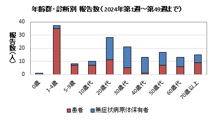 年齢別・診断別（2024年）報告数グラフ画像