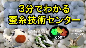 3分でわかる蚕糸技術センター