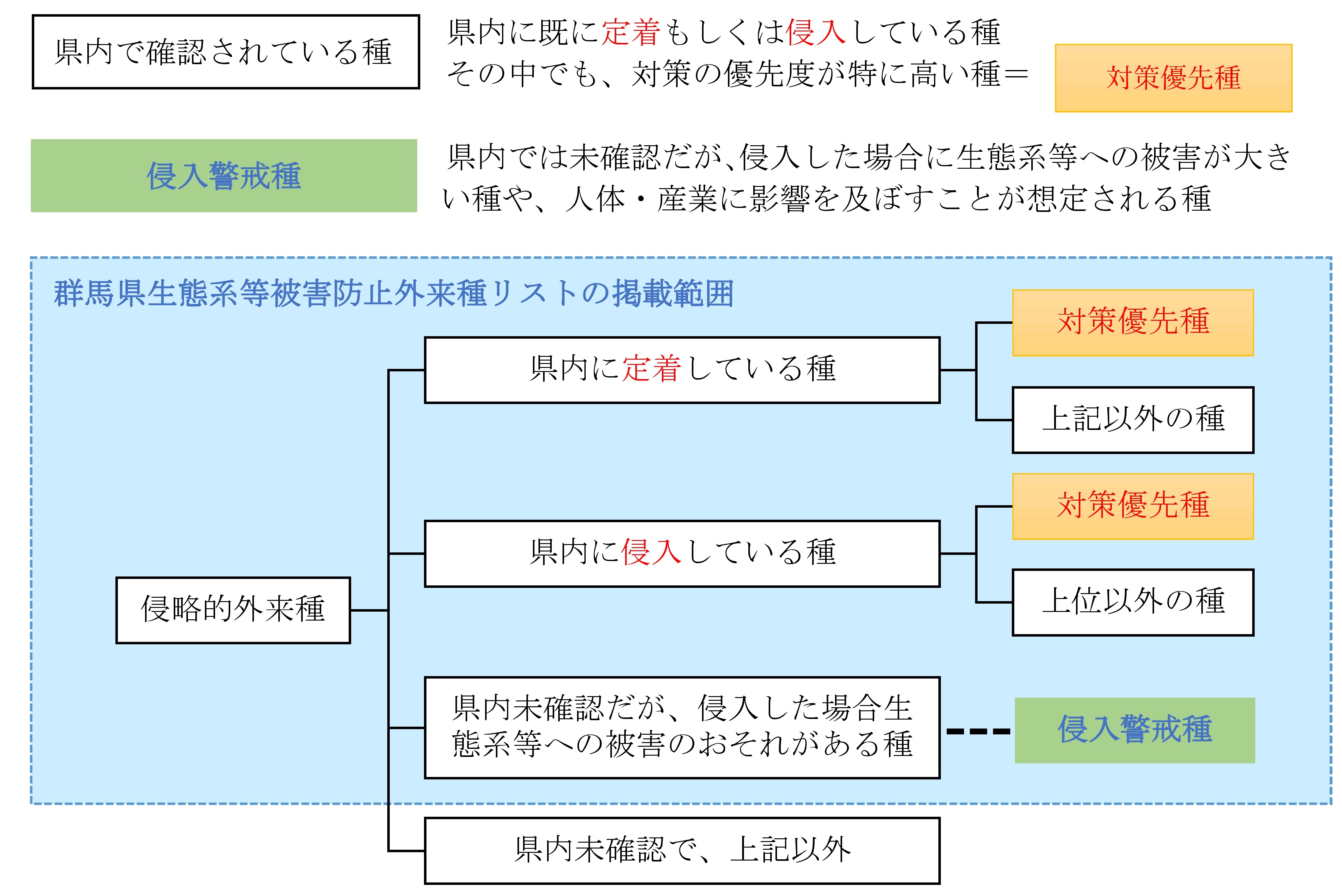 リストの全体像の画像