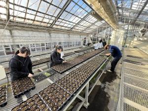 鉢上げの様子の画像