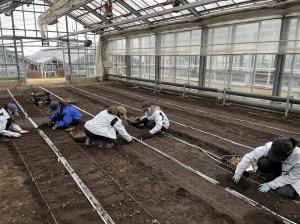 植え込み中の画像２