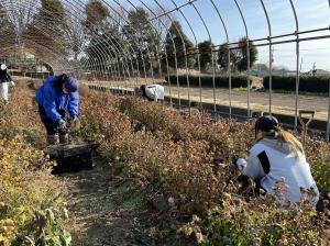 堀り上げ中の画像