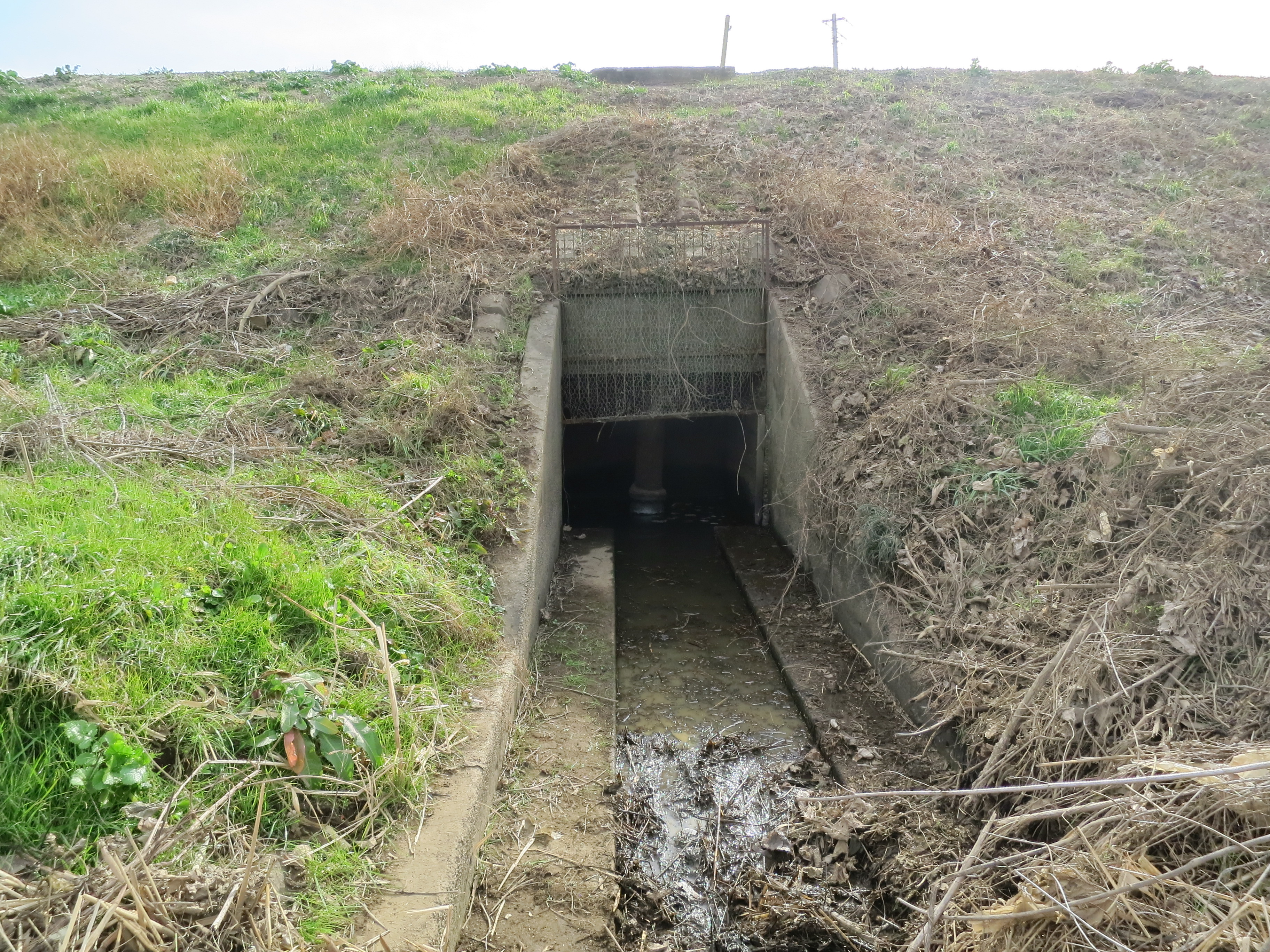 取水施設（内部・河川側）の画像2