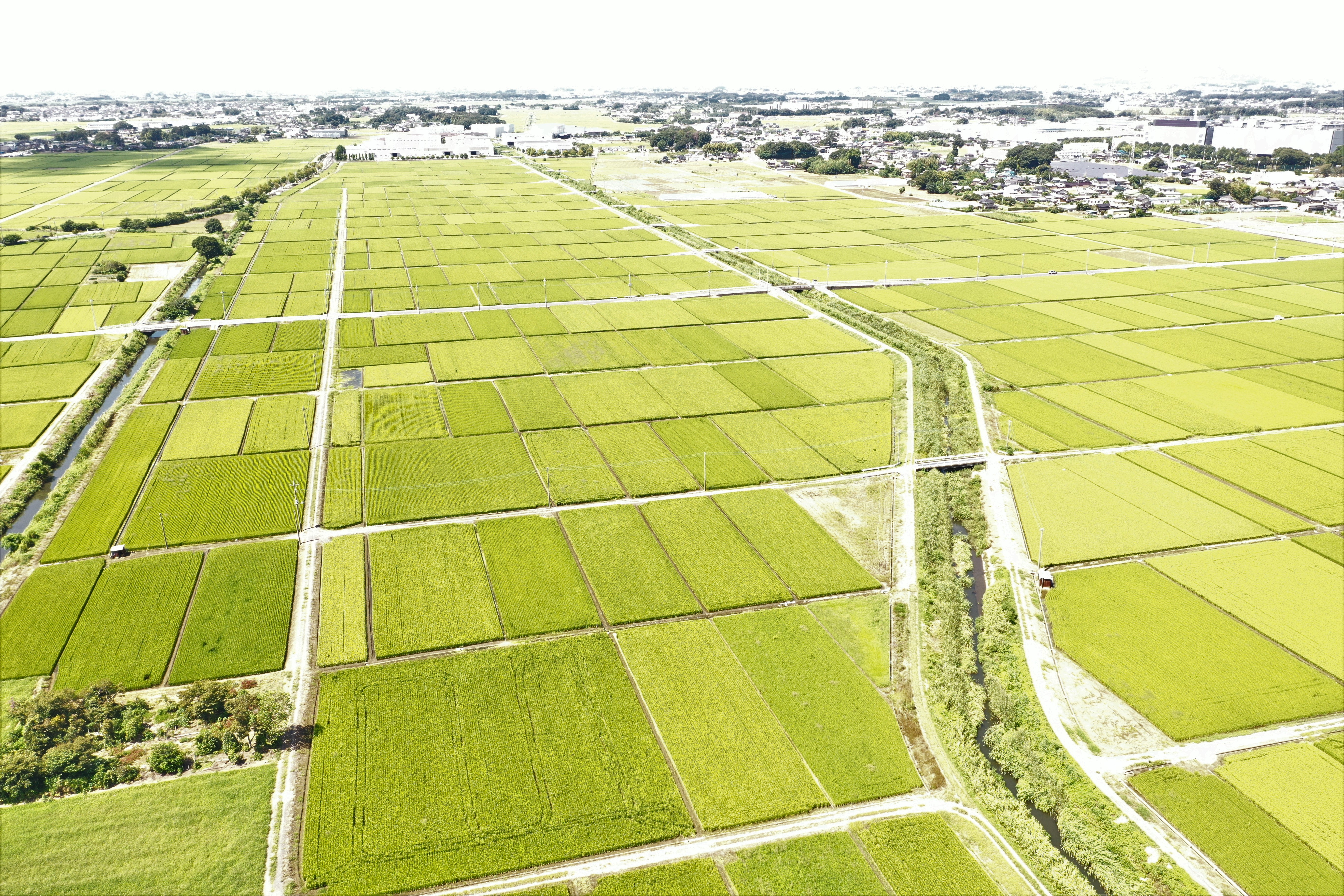野辺地区現況写真の画像