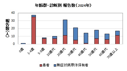 年齢別・診断別（2024年）報告数グラフ画像