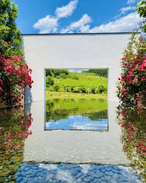 芸術なリフレクション中之条ガーデンズの写真