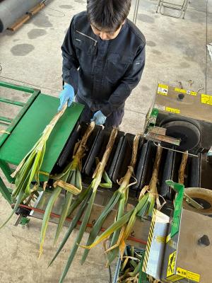 根切り葉切り機での作業風景の画像